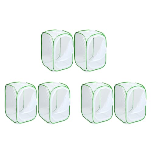 Eieenotee 6Er-Pack -Up-Schmetterlingsk?fige f¨¹r Insekten und Schmetterlinge im Terrarium (15,7 X 15,7 X 23,6) von Eieenotee