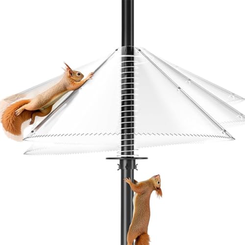 Eieenotee Eichh?rnchen-Proof-Schild-Wickel Um Doppelt Verwendete Gezackte, Klare Eichh?rnchen-Schalld?mpfer f¨¹r Vogelhilfsvorg?nger Eichh?rnchen Guard Stopper von Eieenotee