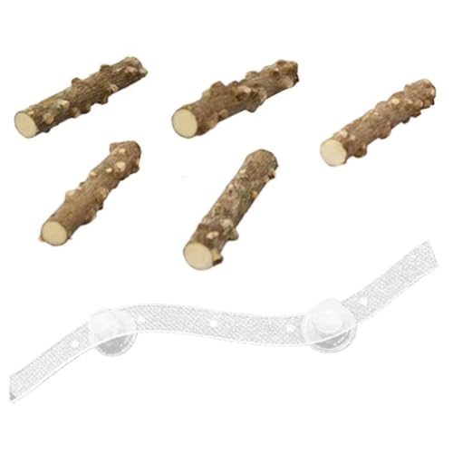 Eieenotee Vogelstange, Sittich-Kletterrampe, Saugnapf, Platzsparend, Vogelk?fig-Sitzstange f¨¹r Papageien, Sittiche, Nymphensittiche f¨¹r die Wand B von Eieenotee