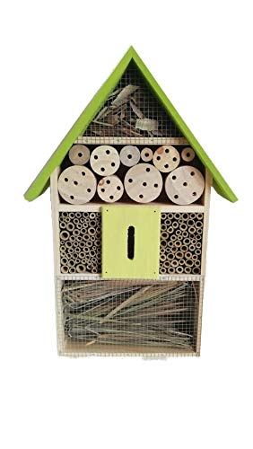 Eifa XXL 50 cm Insektenhotel Natur GRÜNES Dach/Nistkasten Insektenhaus aus Holz für Bienen, Schmetterlinge, Käfer & andere Tiere Eifa XXL 50 cm Insektenhotel Natur GRÜNES Dach/Nistkasten Insektenhaus aus Holz für Bienen, Schmetterlinge, Käfer & andere Tiere von Eifa