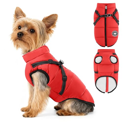 Eikuavons Hundejacke Wasserdichter Hundemantel Reflektierende Jacke mit Geschirr Ärmellose Baumwolle Gepolsterte Weste Haustier Skifahren Kostüm Welpen Winter Warme Jacke, Rot 2XL von Eikuavons