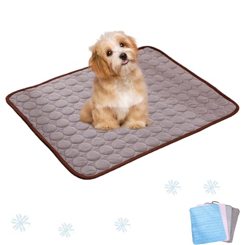 Ejoyiso Pfotenfrost Matte, Pfotenfrost Matte Für Katzen, Kühldecke Hund, Ideal Für Zuhause, Auto Und Garten (Braun, Xs (40 X 30 cm)) von Ejoyiso