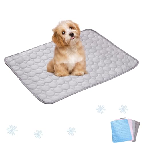 Ejoyiso Pfotenfrost Matte, Pfotenfrost Matte Für Katzen, Kühldecke Hund, Ideal Für Zuhause, Auto Und Garten (Grau, L (70 X 55 cm)) von Ejoyiso