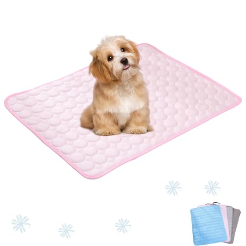 Ejoyiso Pfotenfrost Matte, Pfotenfrost Matte Für Katzen, Kühldecke Hund, Ideal Für Zuhause, Auto Und Garten (Grau, S (50 X 40 cm)) von Ejoyiso
