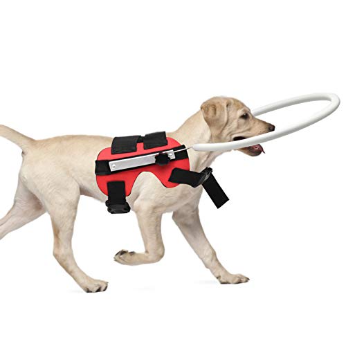 Blind Dog Halo, Blind Dog Harness Adjustable Blind Dog Guide Blind Dog Halo Collar and Protective Vest Ring, for Prevent Collision Face Protection Pet Safe Accessories (S) von Ejoyous