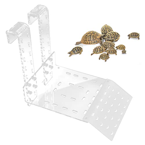 Ejoyous Schildkröte Plattform, Schildkröten-Basking-Plattform Transparente Schildkröten-Ruheterrasse Schildkröten-Hängerampe Kletterregal für Aquarium Einstellbar (TC) von Ejoyous