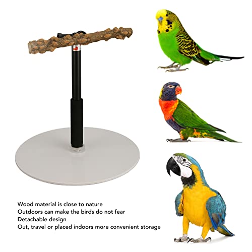 Ejoyous Vogel Spielständer Verstellbarer Vogelstangenständer höhenverstellbar Papageien-Spielständer Abnehmbarer Ejoyous Vogel Spielständer Verstellbarer Vogelstangenständer höhenverstellbar Papageien-Spielständer Abnehmbarer von Ejoyous