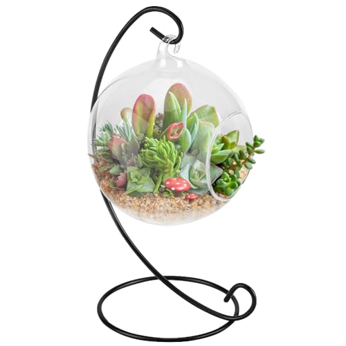 Luftpflanzen-Terrarium-Set mit Ständer, hängende Glasvase, Terrarium, Globus mit Metallornament, Präsentationsständer, Tischglas-Terrarium für Luftpflanzen, Sukkulenten, Pflanzgefäße, kleine Pflanzen von Ejoyous