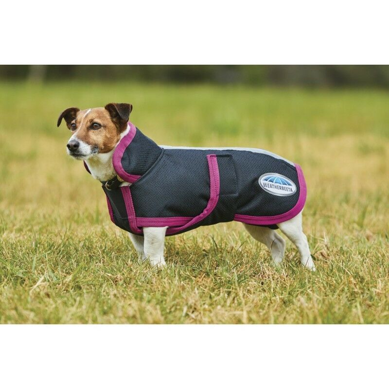 Ekkia Hundedecke 1200DEN Schwarz/ berry, Gr. 30 Ekkia Hundedecke 1200DEN Schwarz/ berry, Gr. 30 von Ekkia
