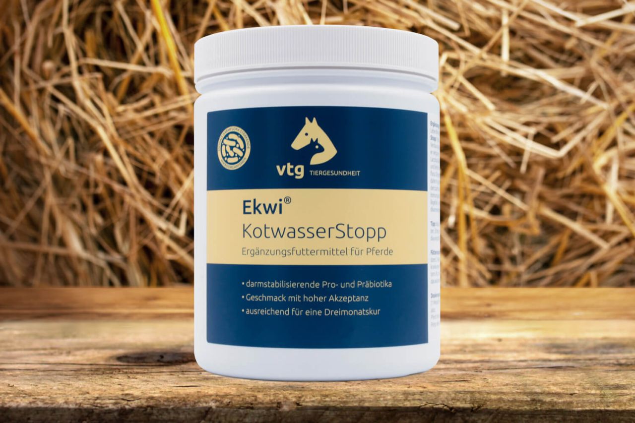 Ekwi KotwasserStopp von Ekwi