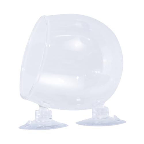 Eladcncmc Glas-Aquarien Pflanzbecher für verschiedene Aquarien mit Saugnapf für Süß- und Salzwasser-Aquarien, Landschafts-Pflanzenbecher Eladcncmc Glas-Aquarien Pflanzbecher für verschiedene Aquarien mit Saugnapf für Süß- und Salzwasser-Aquarien, Landschafts-Pflanzenbecher von Eladcncmc