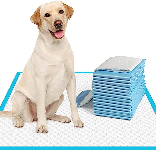Elalove Extragroße Hunde-PIPI-Pads 71x76cm - 50 Stück | XL-Welpen-PIPI-Trainingspads, super saugfähig und auslaufsicher | Einweg-PIPI- und Töpfchenpads für Welpen | Hunde | Hündchen Elalove Extragroße Hunde-PIPI-Pads 71x76cm - 50 Stück | XL-Welpen-PIPI-Trainingspads, super saugfähig und auslaufsicher | Einweg-PIPI- und Töpfchenpads für Welpen | Hunde | Hündchen von Elalove