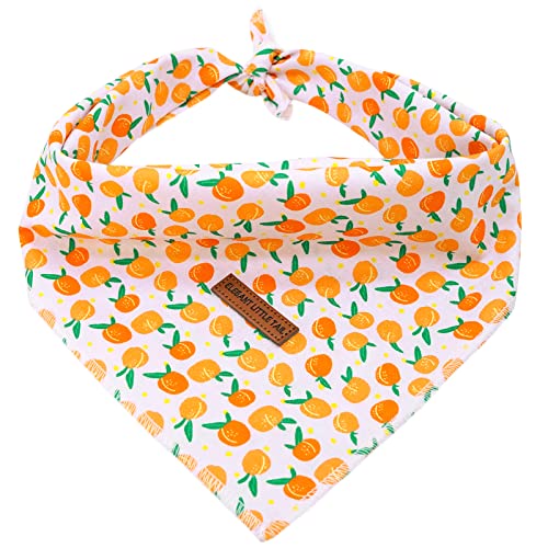 Elegant Littel Tail Hund Bandana, Frühling Haustier Bandanas 1PC Baumwolle waschbar Jungen Mädchen Quadrat Hund Lätzchen Halstuch Hund Halstücher für kleine mittlere große Hunde von Elegant little tail