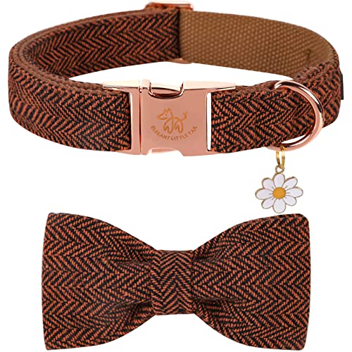 Elegant little tail Halloween Hundehalsband mit Schleife – Fischgrätmuster Orange Hundehalsband Schleife Strapazierfähiges Fliegehalsband Haustier-Hundehalsband für mittelgroße Hunde Elegant little tail Halloween Hundehalsband mit Schleife – Fischgrätmuster Orange Hundehalsband Schleife Strapazierfähiges Fliegehalsband Haustier-Hundehalsband für mittelgroße Hunde von Elegant little tail