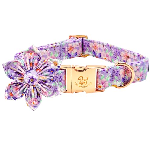 Elegant little tail Hundehalsband, Frühlingshalsband mit Blume, langlebig, Blumendruck, Hundehalsband, Mädchen, Haustiergeschenk, verstellbares Hundehalsband für X-Small Hunde von Elegant little tail