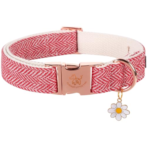 Elegant little tail Hundehalsband - Fischgräten-Hundehalsband Weihnachten weiches haltbares Haustierhalsband verstellbares Haustierhalsband Hund für kleine mittlere große Hunde Elegant little tail Hundehalsband - Fischgräten-Hundehalsband Weihnachten weiches haltbares Haustierhalsband verstellbares Haustierhalsband Hund für kleine mittlere große Hunde von Elegant little tail