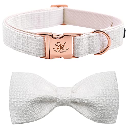 Elegant Little Tail Hundehalsband Mit Schleife - Verstellbares Baumwolle Halsband Für Kleine Hunde, Strapazierfähig, Weiß - Haustier Geschenk von Elegant little tail