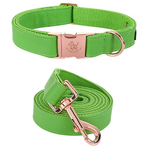 Elegant little tail Hundehalsband und Leine aus Leder, Grün strapazierfähiges Hundehalsband, Mädchen- oder Jungenhalsband, verstellbare Hundehalsbänder für große Hunde, Hals 40,64-60cm Elegant little tail Hundehalsband und Leine aus Leder, Grün strapazierfähiges Hundehalsband, Mädchen- oder Jungenhalsband, verstellbare Hundehalsbänder für große Hunde, Hals 40,64-60cm von Elegant little tail