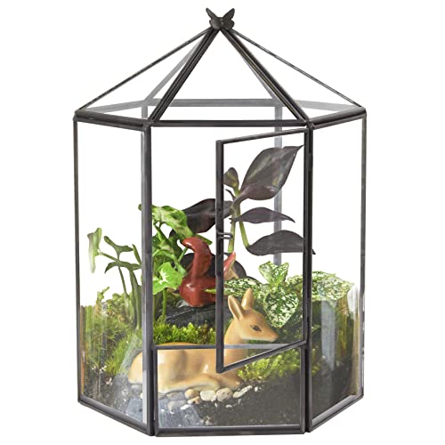 ELEGANTLIFE Geometrisches Pflanzenterrarium aus Glas, Sukkulenten und Luft-Pflanzgefäß für Zuhause, Garten, Büro, Dekoration, keine Pflanzen (schwarz, sechseckig) von ElegantLife