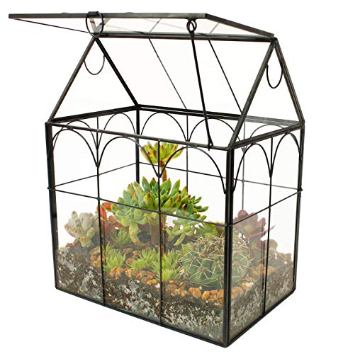ElegantLife Geometrisches Terrarium aus Glas für Sukkulenten und Luftpflanzen (Keine Pflanze im Lieferumfang enthalten) von ElegantLife