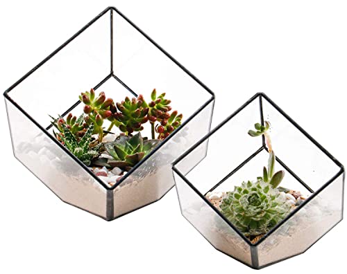 ELEGANTLIFE Geometrisches Pflanzgefäß aus Glas, Blumentopf, Tisch-Pflanzgefäß, Dekoration, Glasvitrine, Sukkulenten- und Luftpflanzen-Pflanzgefäß für Zuhause, Garten, Büro, Dekoration (schwarz, von ElegantLife