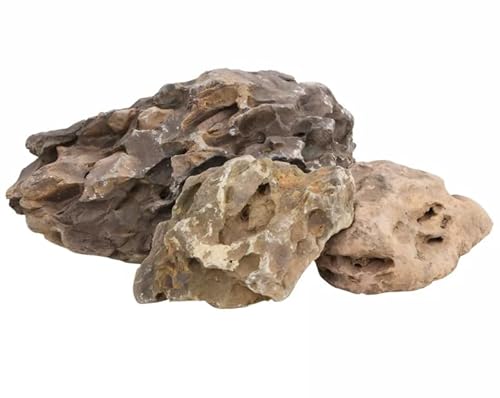 Drachensteine 10 kg Grau 10-40 cm: Natur-Erlebnis-Set für Schule, Kindergarten oder Zuhause von Eleganz