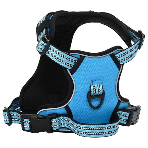 Hundegeschirr mit Leine & Halsband, verstellbar Blau M – Atmungsaktives & leichtes Set für Hunde, perfekt für Spaziergänge & Training, Lösung für Ziehen & Unbehagen Hundegeschirr mit Leine & Halsband, verstellbar Blau M – Atmungsaktives & leichtes Set für Hunde, perfekt für Spaziergänge & Training, Lösung für Ziehen & Unbehagen von Eleganz