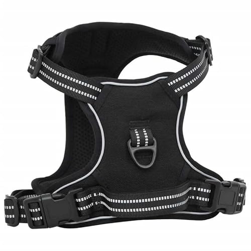 Hundegeschirr mit Leine & Halsband - Verstellbares Set in Schwarz (Größe M) für Hunde - Atmungsaktiv & Komfortabel - Ideal für Spaziergänge & Training von Eleganz