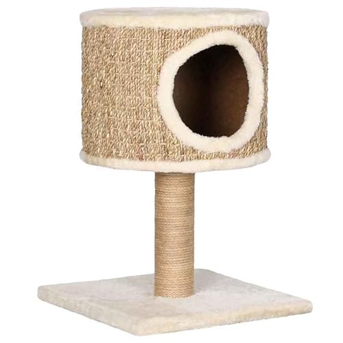 Katzenhöhle mit Kratzbaum aus Seegras und Plüsch – Gemütliches Katzenbett aus Spanplatte für entspanntes Schlafen und Kratzen – Ideal für kleine Räume von Eleganz