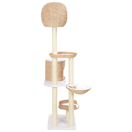 Kratzbaum für Katzen aus Sisal und Seegras - Natürliche Kratzfläche für innen, langlebig und umweltfreundlich - Perfekt für Katzenbetten und Spielbereich Kratzbaum für Katzen aus Sisal und Seegras - Natürliche Kratzfläche für innen, langlebig und umweltfreundlich - Perfekt für Katzenbetten und Spielbereich von Eleganz