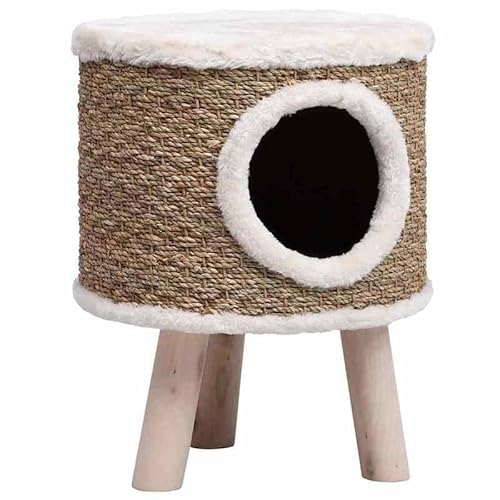 Kratzbaum für Katzen mit Holzbeinen 41 cm - Kratzbaum aus Seegras & Plüsch - Stabiles Katzenbett aus Spanplatte - Perfekt für kleine Wohnungen von Eleganz