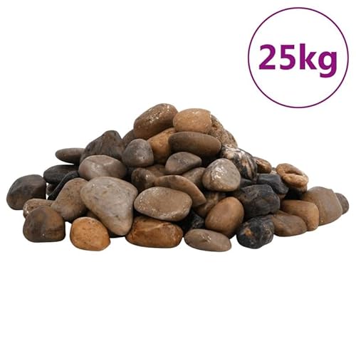 Polierte Kieselsteine 25 kg Mehrfarbig 2-5 cm für Aquariumfilter & Pumpen - Natürliche Filtermedien, Dekorative Bodenbedeckung - Ideal für Süß- & Meerwasseraquarien Polierte Kieselsteine 25 kg Mehrfarbig 2-5 cm für Aquariumfilter & Pumpen - Natürliche Filtermedien, Dekorative Bodenbedeckung - Ideal für Süß- & Meerwasseraquarien von Eleganz