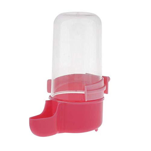 Vögel Automatischer Wasserspender Futterspender Vogel WasserspenderFutterspender Clip Futternapf Trinkflaschen Für Vögel Wellensittiche, Nymphensittiche Papageien Geeignet Für Vogelkäfige (8 X 5 Cm) Vögel Automatischer Wasserspender Futterspender Vogel WasserspenderFutterspender Clip Futternapf Trinkflaschen Für Vögel Wellensittiche, Nymphensittiche Papageien Geeignet Für Vogelkäfige (8 X 5 Cm) von Elementra