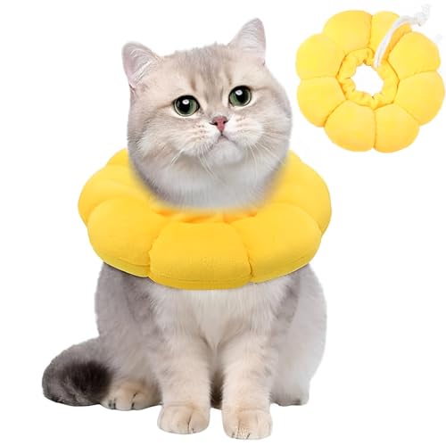 ElevaPulse Sonnenblume Halskrause Katze, Einstellbarer Katzen Halskrause, Katze Halskrause, Halskrausen Für Katzen, Halskragen Katze, Für Katzen Kleiner Hunde Nach Operation Und Verletzungen (M) ElevaPulse Sonnenblume Halskrause Katze, Einstellbarer Katzen Halskrause, Katze Halskrause, Halskrausen Für Katzen, Halskragen Katze, Für Katzen Kleiner Hunde Nach Operation Und Verletzungen (M) von ElevaPulse