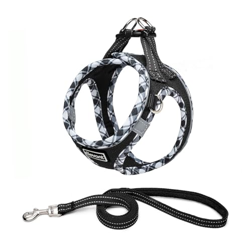 Elevant Hundegeschirr mit Leine, Step-in Weich Gepolstert Geschirr Reflektierend, Air-Mesh Atmungsaktiv Brustgeschirr, Welpengeschirr für Kleine Hunde, Haustiere, Welpen, Katzen (XS, Schwarz) von Elevant