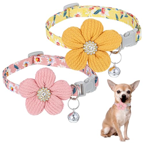 ElevateTech 2 x kleine Hundehalsbänder mit Blume, Welpenhalsband, niedliches Haustier-Halsband, Zubehör, geeignet für Spaziergänge, Laufen, Training, Reisen, mittelgroße Hunde, Geschenk, verstellbar ElevateTech 2 x kleine Hundehalsbänder mit Blume, Welpenhalsband, niedliches Haustier-Halsband, Zubehör, geeignet für Spaziergänge, Laufen, Training, Reisen, mittelgroße Hunde, Geschenk, verstellbar von ElevateTech