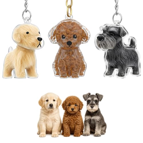 ElevateTech 3 Stück Hundehaar Sammler Schlüsselanhänger Schlüsselanhänger für Tierhaare Tierhaar-Andenken Hunde-Gedenkgeschenk Transparent Niedlich Kreative Geschenke von ElevateTech