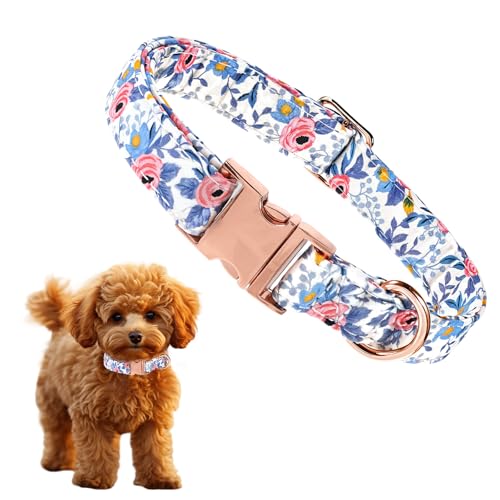 ElevateTech Hundehalsband, verstellbar, rote Rose, Metallschnalle, Pfoten, niedliches Blumenhalsband, geeignet für große Hunde, kleine, mittelgroße Hunde, Geschenk, 2,3 - 30,5 cm - 45,7 cm ElevateTech Hundehalsband, verstellbar, rote Rose, Metallschnalle, Pfoten, niedliches Blumenhalsband, geeignet für große Hunde, kleine, mittelgroße Hunde, Geschenk, 2,3 - 30,5 cm - 45,7 cm von ElevateTech