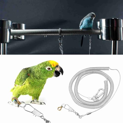 ElgnAura Papageien-Vogel-Anti-Biss-Fliegen-Trainingsseil-Leine-Kits, leichtes, tragbares Haustier im Freien, zufällige Farbe, 6 m Länge (6,5 mm + 6 m Flugseil) von ElgnAura