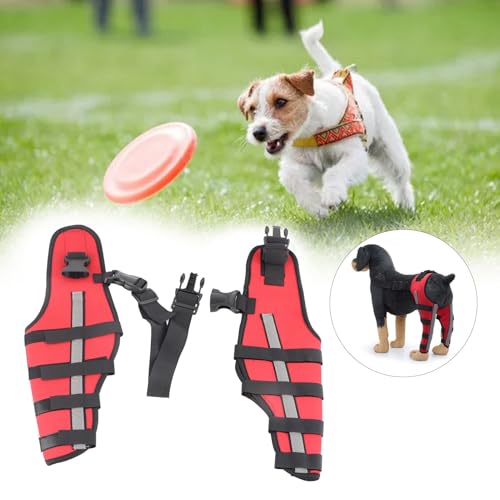 ElgnAura Stoßfeste Knieschützer für Haustiere, Knieorthese für Hunde mit Verstellbarer Hundebeinorthese und elastischer Unterstützung bei Verletzungen und Operationen (L) von ElgnAura