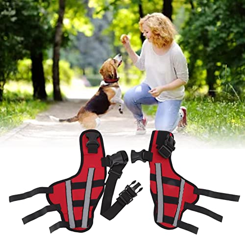 ElgnAura Stoßfeste Knieschützer für Haustiere, Knieorthese für Hunde mit Verstellbarer Hundebeinorthese und elastischer Unterstützung bei Verletzungen und Operationen (Xs) von ElgnAura