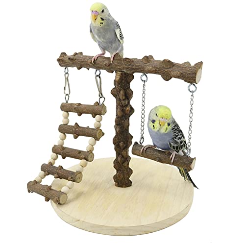 Papagei Spielständer klein - Sittich-Spielplatz aus Holz - Trainingsständer mit Leiter und Schaukel Nymphensittich-Spielplatz für Haustier-Vogel-Spielzeug Elinrat von Elinrat