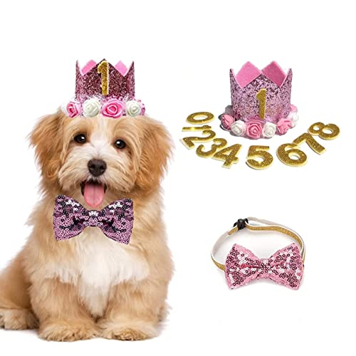 Geburtstagshut für Hunde, Katze, Hund, Geburtstagskrone, Hut und Fliege mit 0–9 Figuren, Charms, Partyzubehör für kleine, mittelgroße Welpen, Kätzchen, Blau (rosa) von Elionless
