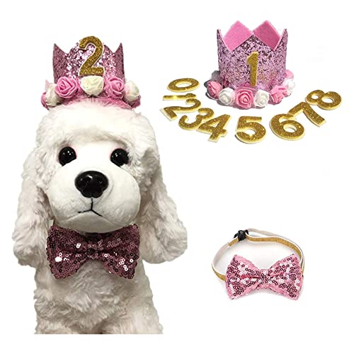 Geburtstagshut für Hunde, Katze, Hund, Geburtstagskrone, Hut und Fliege mit 0–9 Figuren, Charms, Partyzubehör für kleine, mittelgroße Welpen, Kätzchen, Blau (rosa) von Elionless