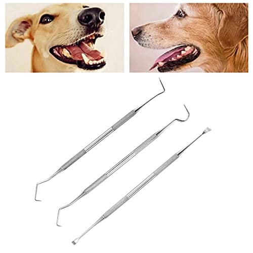 Elionless Pet Tooth Scaler Reinigungsset, 3 Stück Edelstahl Zahnstein-Entferner Zahnbelag-Entferner für Hunde Katzen von Elionless