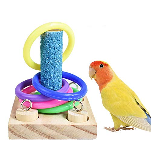 Elionless Vogel-Pädagogisches Spielzeug für Papageien, interaktives Intelligenz-Training, Spielzeug für Nymphensittiche, Sittiche, Nymphensittiche, Grau. von Elionless