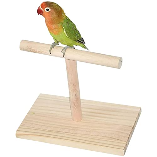 Elionless Vogel Sitzstangen, Holz Papagei Sitzstangen Vogel Spielzeug für Vögel, Pfotenabdrücke, Kleine und Mittelgroße Vögel von Elionless
