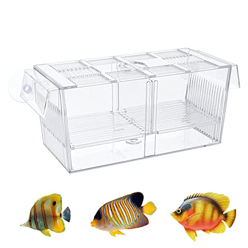 Fisch Zucht Box, Kunststoff Transparent Aquarium Brüterei Box Aquarium Isolation Box mit Saugnapf für Guppy Tropical Fish (Groß) von Elionless