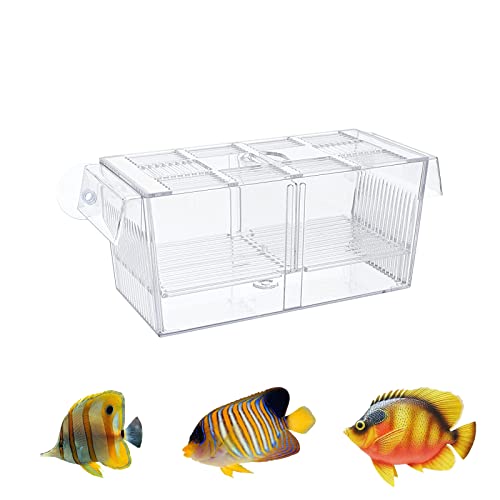 Fisch Zucht Box, Kunststoff Transparent Aquarium Brüterei Box Aquarium Isolation Box mit Saugnapf für Guppy Tropical Fish (Klein) von Elionless