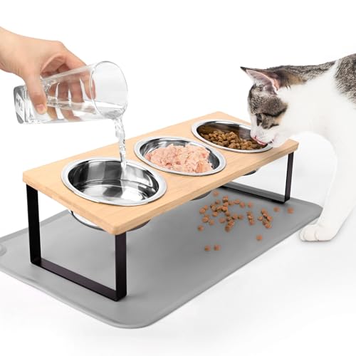 Katzennapf Erhöht, Futternapf Katze aus Edelstahl mit Napfunterlage Silikon, 15° Ergonomischer Futterstation Hundenapf, Fressnapf und Wassernapf für Katzen und Kleine Hunde von Elisabe